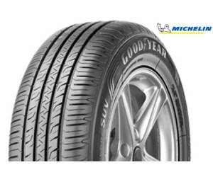 Michelin Energy XM2